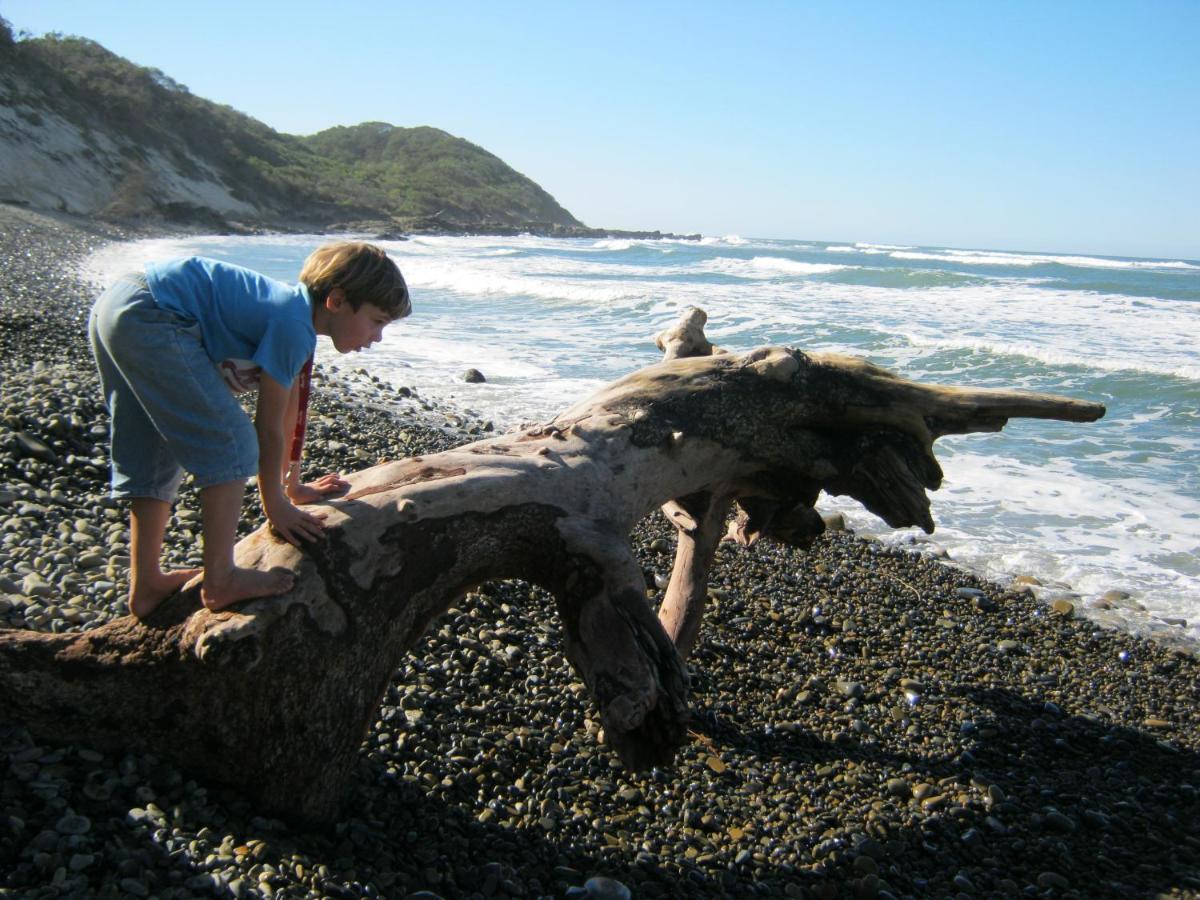 Driftwood Treehouse Hotell Sunrise-on-Sea Eksteriør bilde